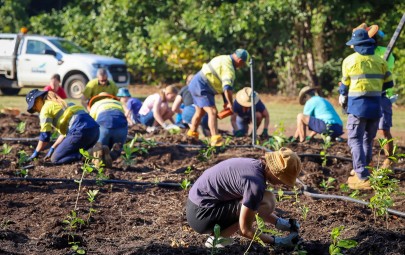 City of Darwin is holding a community planting day on Fitzer Drive, Ludmilla this Saturday 21 October 2023.