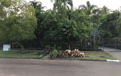 City of Darwin - News article - Free Green Waste Disposal Post Cyclone