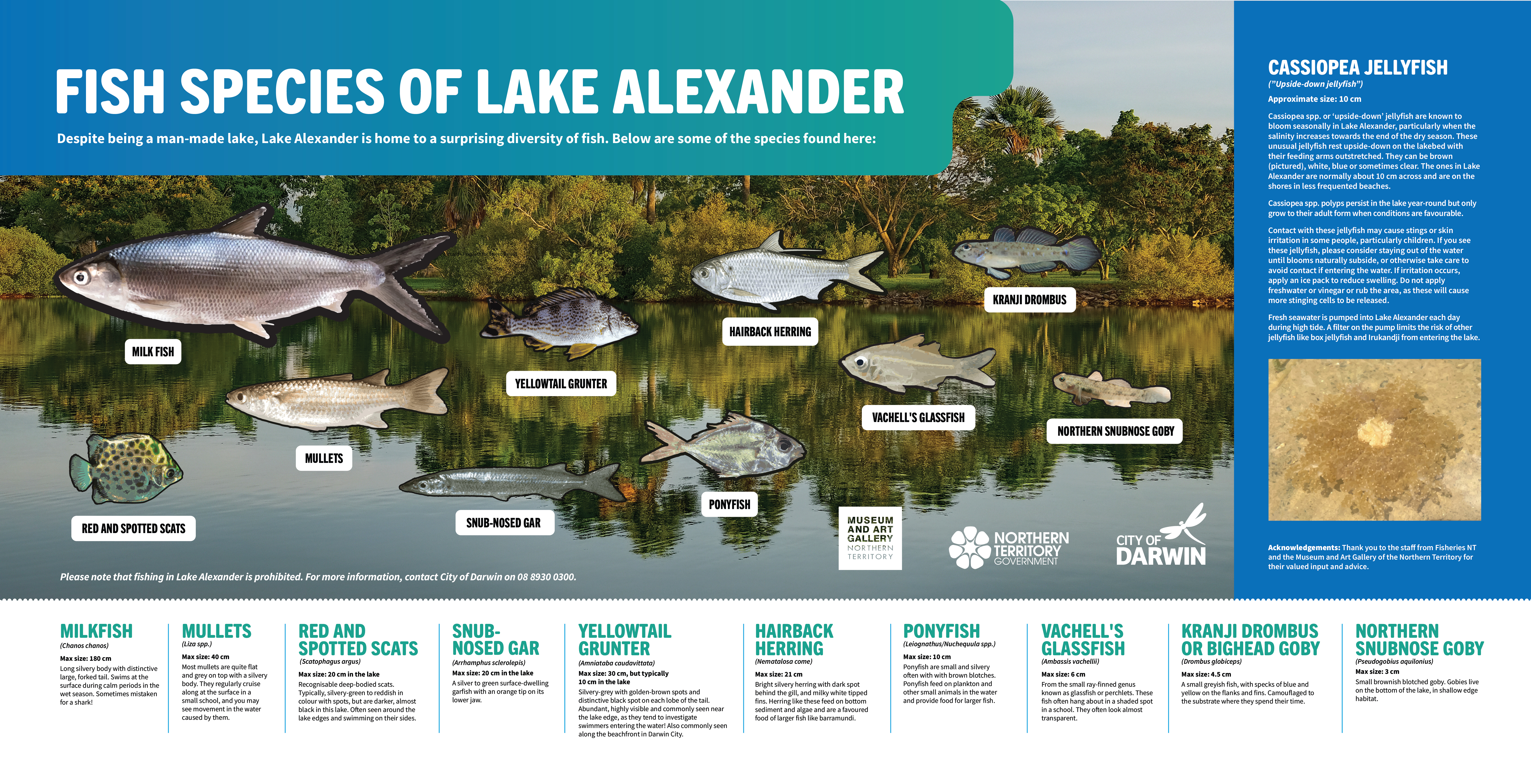 Lake Alexander fish species